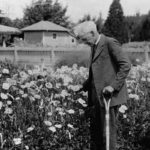 Luther Burbank Farm Work Days