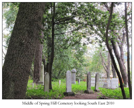 Spring Hill Cemetery in Sebastopol